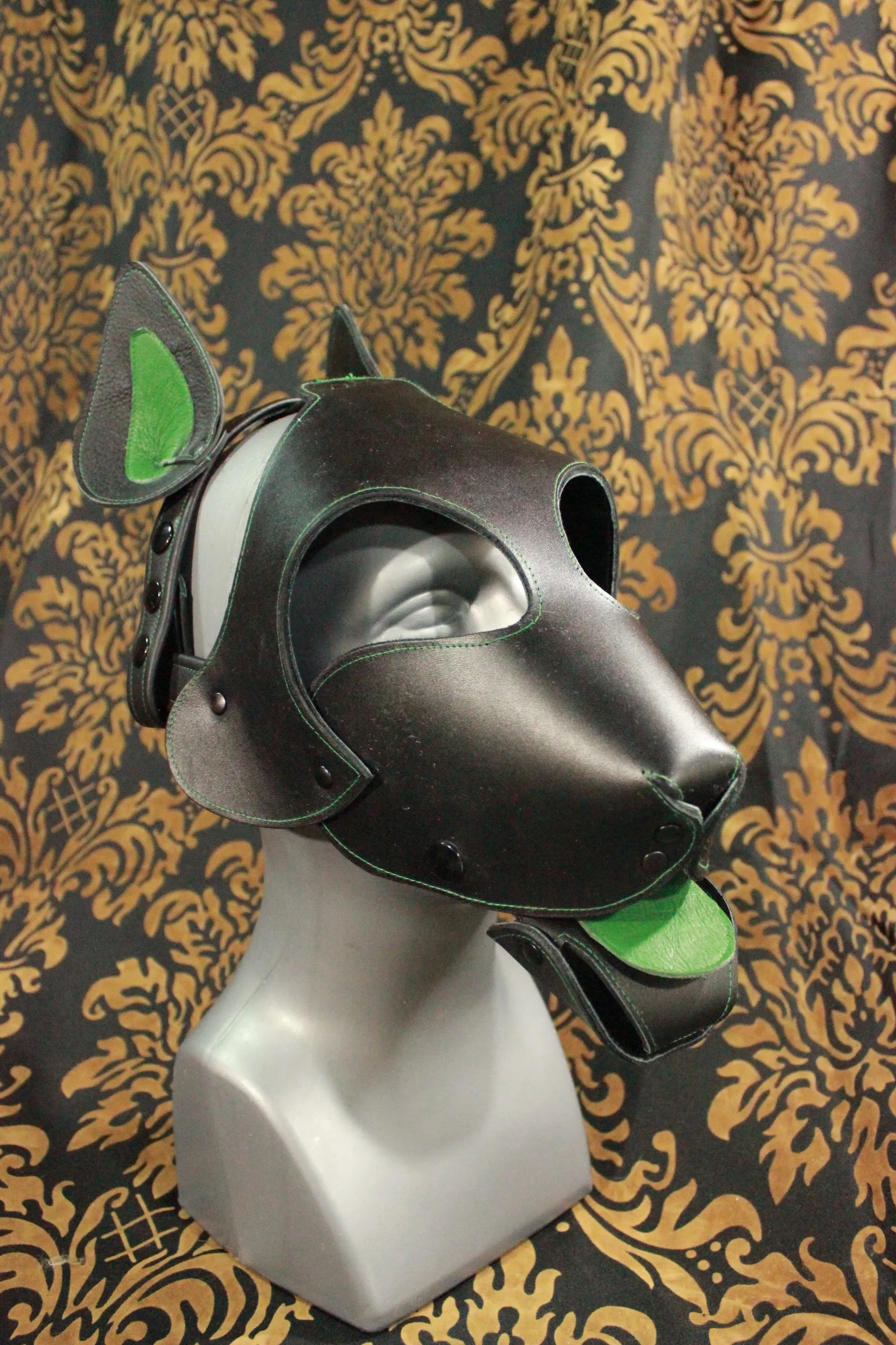 Bull Terrier Style Pup Hood