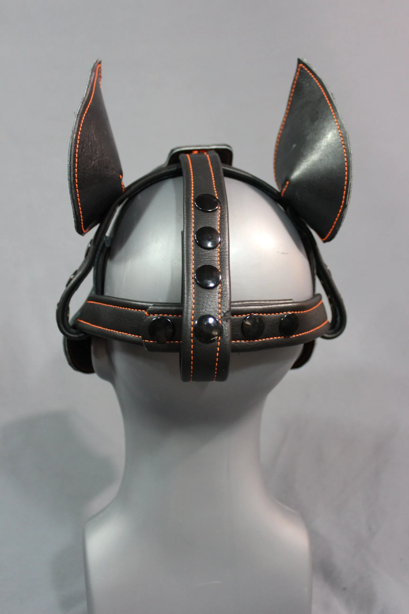 Bull Terrier Style Pup Hood